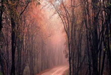 FB体育在线-鹿岛鹿角防线协作提升，力求限制攻击