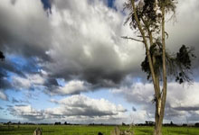 FB体育APP-西雅图海湾者后防联动升级，力求限制对方攻势