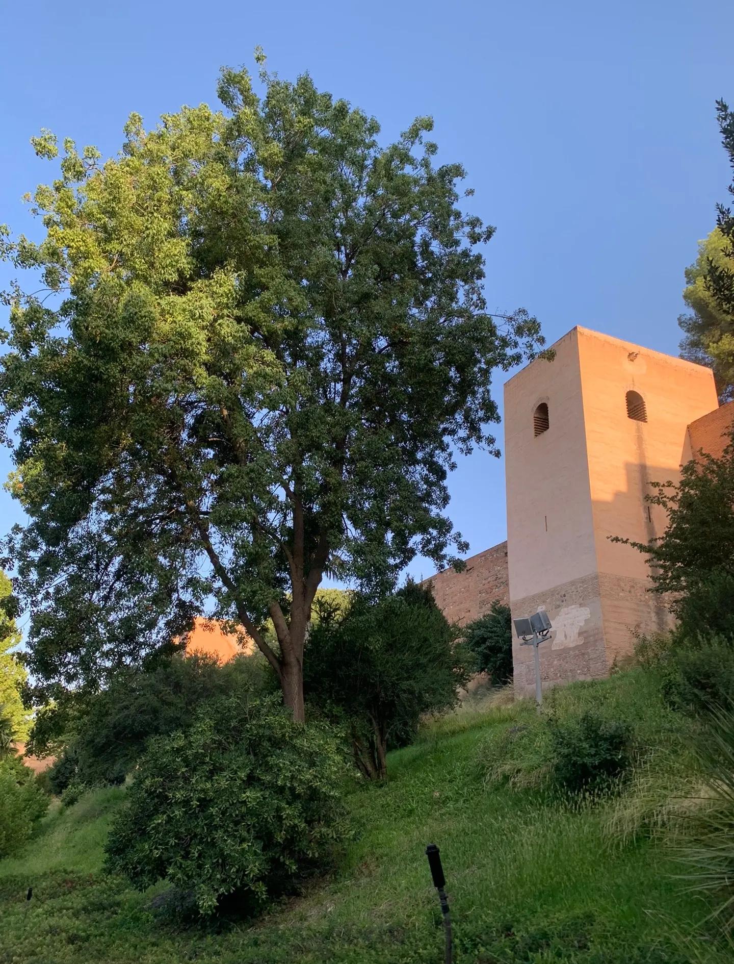 瓦伦西亚风光战胜格拉纳达，喜迎三分