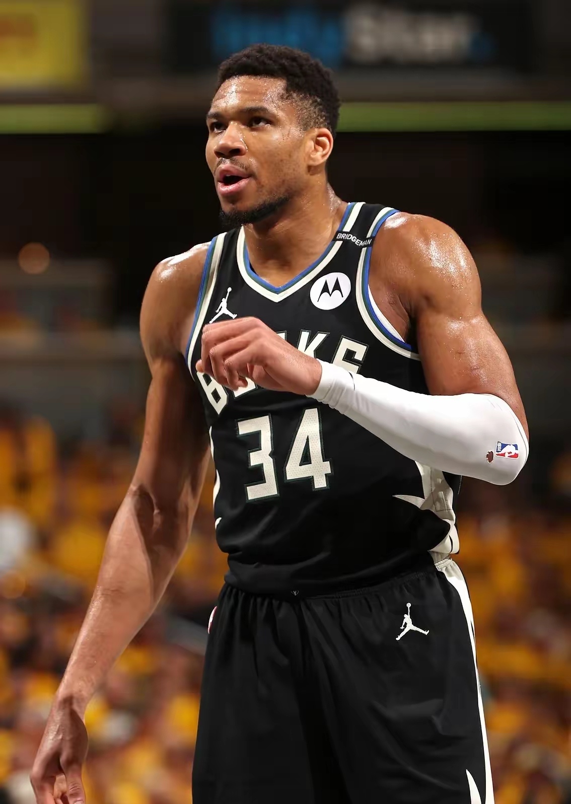 雄鹿胜率持续上升,字母哥领军再战东部? 雄鹿胜率持续上升,字母哥领军再战东部?