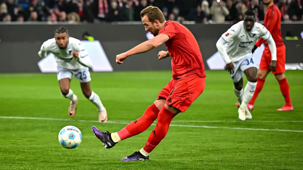 包含德甲球队霍芬海姆官方宣布签下新后卫，将助力球队新赛季冲击欧冠。的词条